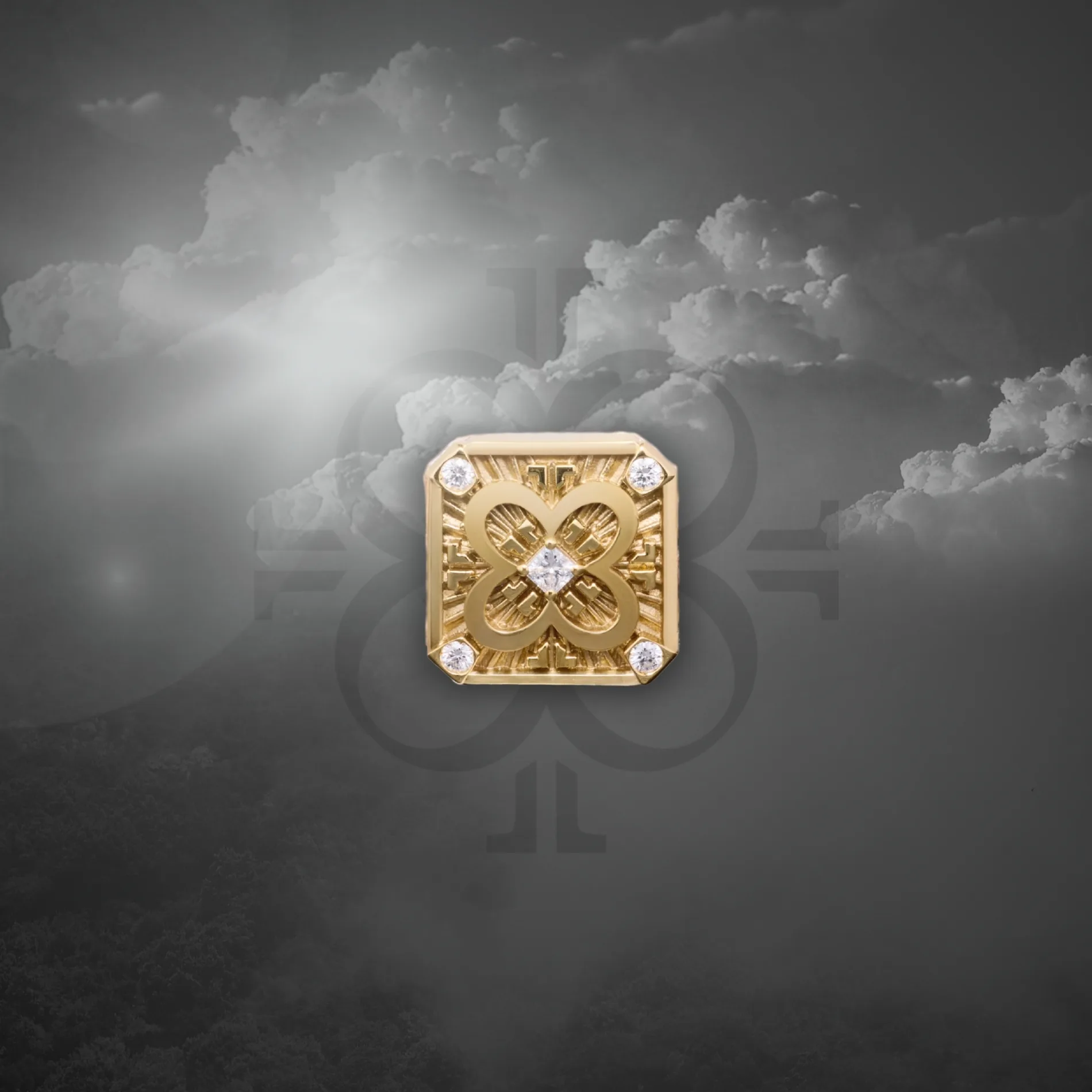 Collection : Zophora.